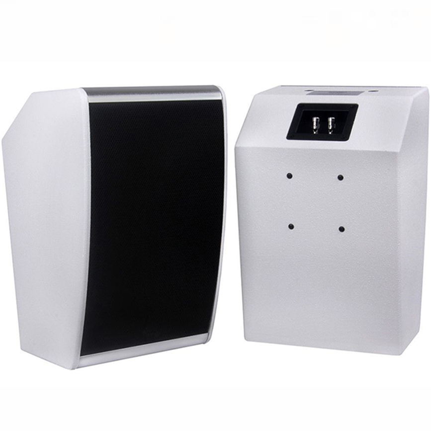 10寸壁挂​會議音箱